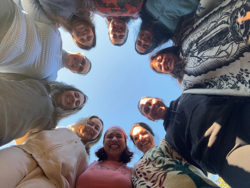 Un Domingo para Sanar: Meditaciones Anti-Estrés, Neurociencia y el Poder de las Hierbas