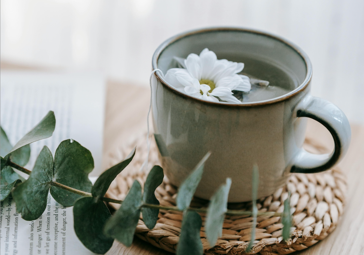 Producto de té herbal DetoxMaxx